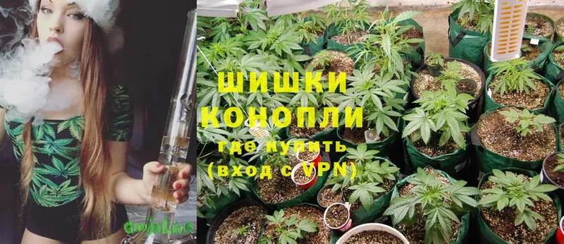 купить закладку  Белоусово  МАРИХУАНА SATIVA & INDICA 